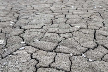 cracked soil in a clay quarry, problem of drought