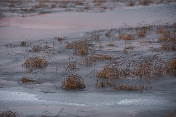 Lake by the late autumn