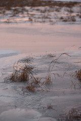Lake by the late autumn