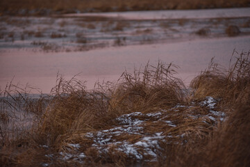 on the shore of a frozen lake