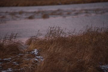 on the shore of a frozen lake
