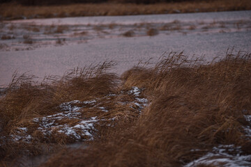 on the shore of a frozen lake