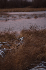 on the shore of a frozen lake