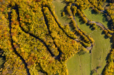 Aerial above view of autumn forest winding road