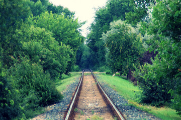 Primer plano de una vía del tren en un día de lluvias. Una vieja vía del tren que discurre entre vegetación y que se dirige recta al horizonte en un oscuro día de lluvia junto a Olimp en Rumanía. - obrazy, fototapety, plakaty