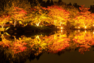 秋の夜の水面に映る鮮やかな紅葉