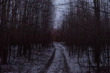 Foto auf Leinwand A countryroad running through a dark forest in the late evening. © Grigoriy
