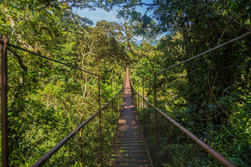 Hanging bridge in Panama