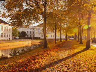 autumn in the city park