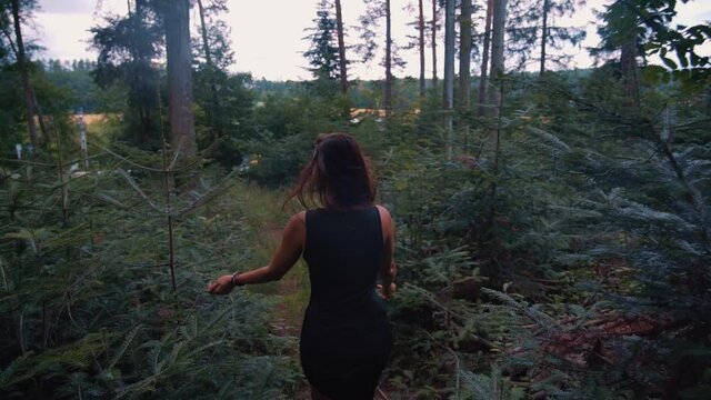 A Lady In Black Summer Dress Touching The Leaves Of Young Pine Tree While Walking Through The Forest - Slow Motion