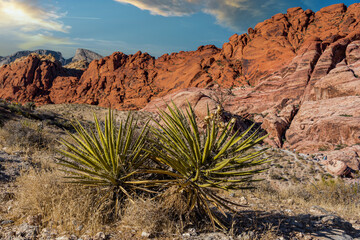 valley of fire