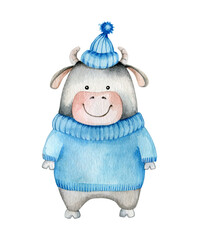 Pig dressed in blue hat and sweater. Watercolor illustration isolated on white.