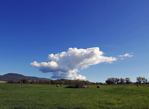 immagine idilliaca della natura all'oasi wwf di Alviano, in Italia