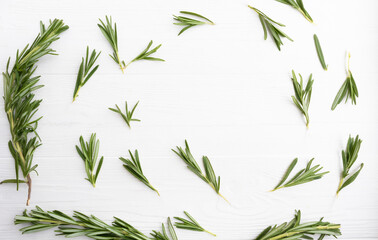 Sprigs of rosemary on a white background with space for text. Layout, template.