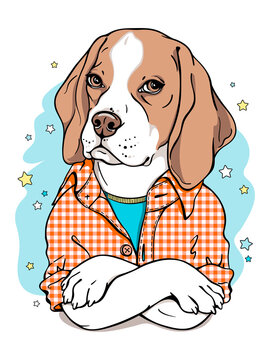 Cute cartoon beagle dog in a plaid shirt. stylish image for printing on any surface