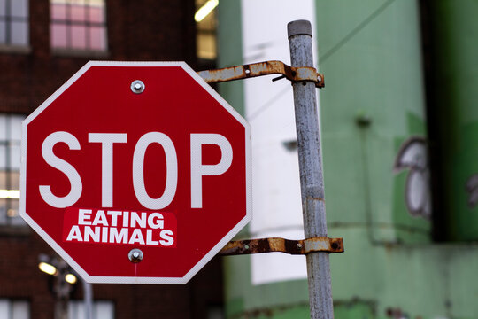Stop Eating Animals Stop Sign Urban Vegan Lifestyle