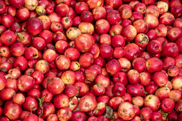 Apfelsaft aus Bio-Äpfeln