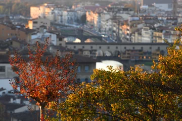 Foto op Canvas Autumn in Florence. Red leaves on a tree at Piazzale Michelangelo with the famous Ponte Vecchio in the background. Italy © Dan74