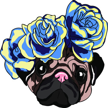 pug with flowers vector illustration. Beautiful wreath of roses. favorite pet. botons of colors. funny dog graphic sketch. Valentine's day greeting card