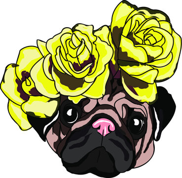 pug with flowers vector illustration. Beautiful wreath of roses. favorite pet. botons of colors. funny dog graphic sketch. Valentine's day greeting card
