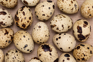 Close-up of quail eggs on burlap. A group of spotted eggs, ingredient for cooking. Healthy food concept. Brown texture, rustic background.
