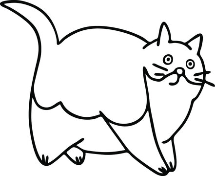 vector illustration of a fat cat. funny animals sketch. cute graphic kitten. a pet doodle style.