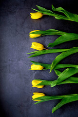 Yellow tulips flowers on dark background. Waiting for spring. Happy Easter card, women's day, mother's day, March 8. Flat position, top view. Place for text.