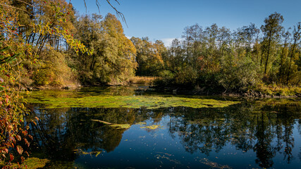 Fototapeta na wymiar Baggersee umgeben vom Herbstlaub