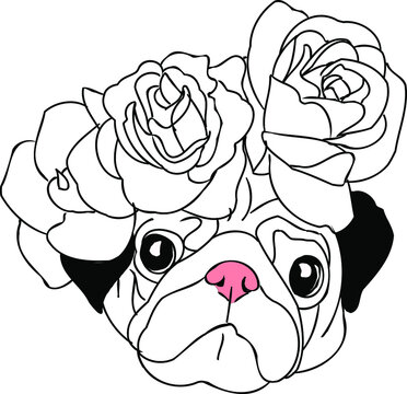 pug with flowers vector illustration. Beautiful wreath of roses. favorite pet. botons of colors. funny dog. pink nose, graphic sketch. Valentine's day greeting card