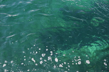 水　泡　水面　テクスチャ　表面　反射　気泡　水中