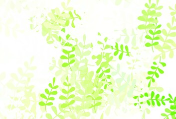 Light Green vector abstract background with leaves.