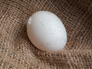 A white chicken egg lying on a burlap sack