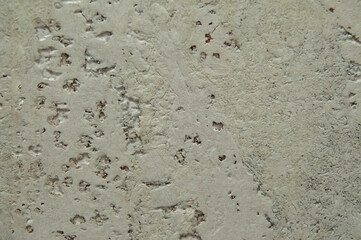 Old porous texture for background. Porous structure under light for background.