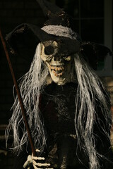 Halloween Witch Skeleton