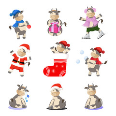 New year set with funny cartoon bulls. Cute characters of bulls on winter holidays season.