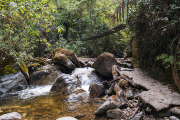 Br&uuml;cke im tropischen Urwald