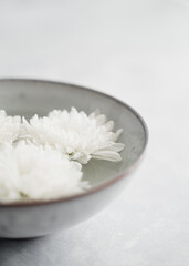 Obraz na płótnie Canvas white flower in a bowl on grey background