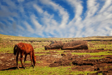Broken Moai in a Field Easter Island Rapa Nui 