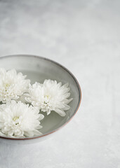 Fototapeta na wymiar white flower in a bowl on grey background