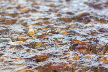 Steine im Fluss
