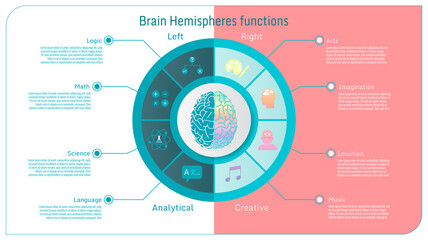 human brain hemispheres functional inforgraphic BG