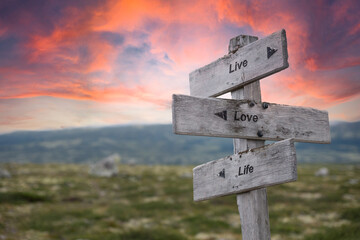 live love life text engraved in wooden signpost outdoors in nature during sunset and pink skies.