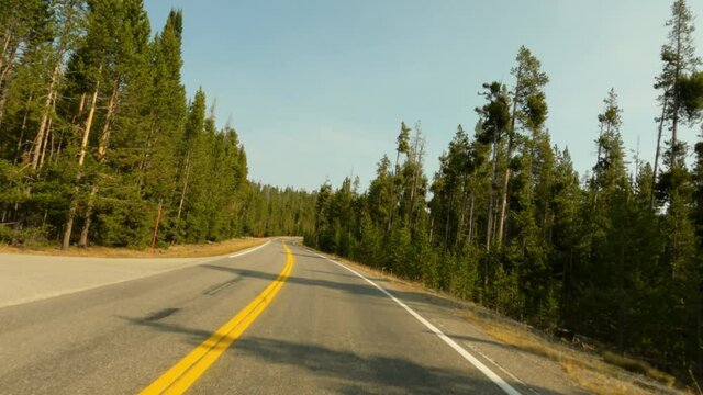 Yellowstone National Park scenic drive pine forest POV 4K. Yellowstone in Wyoming, Montana and Idaho, USA. Geothermal geological environment ecosystem landscape. Biology and ecology.