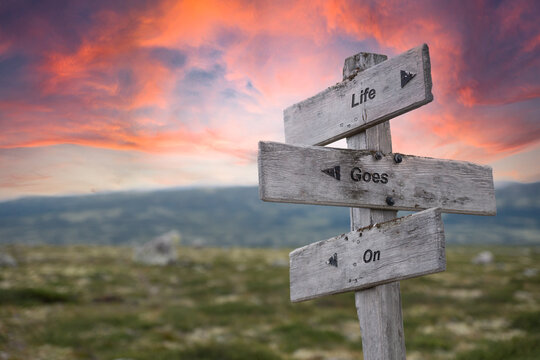 life goes on text engraved in wooden signpost outdoors in nature during sunset and pink skies.