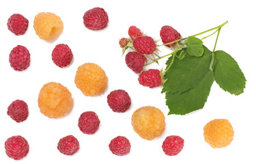 Raspberries isolated on white. Top view
