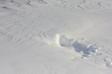 Fu&szlig;abdruck im Schnee