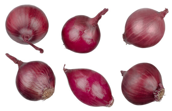 Onions in isolated on white background, top view