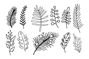 Modern doodle collection with floral branches and leaves on white background. Black outline vector illustration. Winter botanical art.