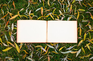 Open photo album on the grass with autumn yellow leaves in the park.Mock up.