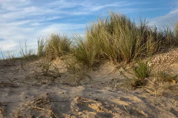 Fotobehang Noordzee, Nederland duinen. Noordzee kust. Julianadorp. Nederland.